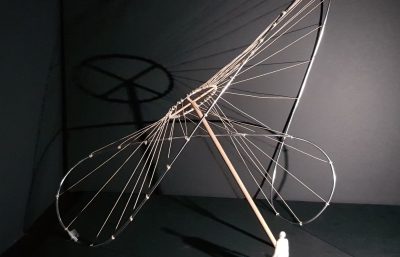 C335076_1a1_s